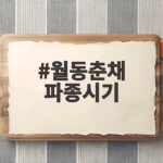 월동춘채 파종시기 놓치면 내년 봄 텃밭이 휑해집니다 월동춘채 파종시기