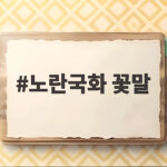 노란국화 꽃말
