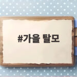 가을 탈모 머리 빠짐 많아진 요즘 두피 관리 이렇게 해보세요 가을 탈모