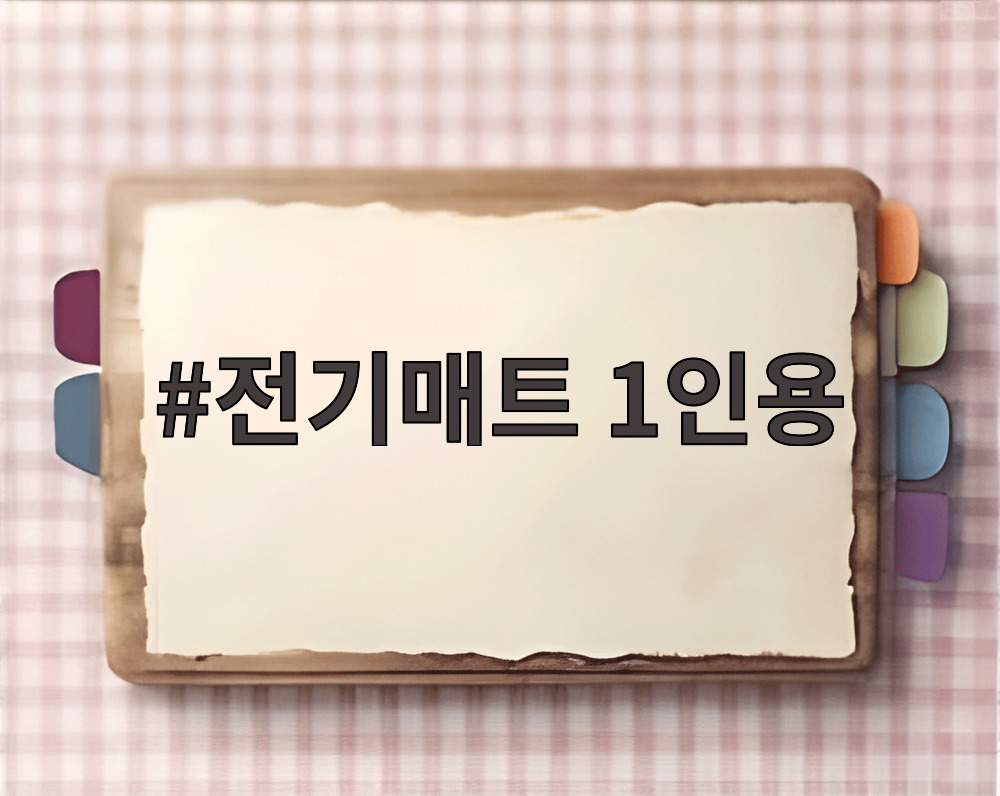 전기매트 1인용