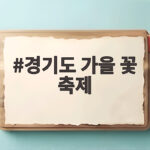 경기도 가을 꽃 축제 10월에 아이와 가볼 만한 곳 베스트 5 경기도 가을 꽃 축제