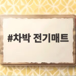 차박 전기매트