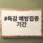 독감 예방접종 기간