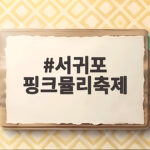 서귀포 핑크뮬리축제