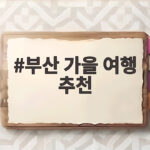 부산 가을 여행 추천 10월에 가볼 만한 단풍 명소 부산 가을 여행 추천