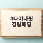 다이나핏 경량패딩 가볍고 따뜻하게 입는 2026년 준비 다이나핏 경량패딩