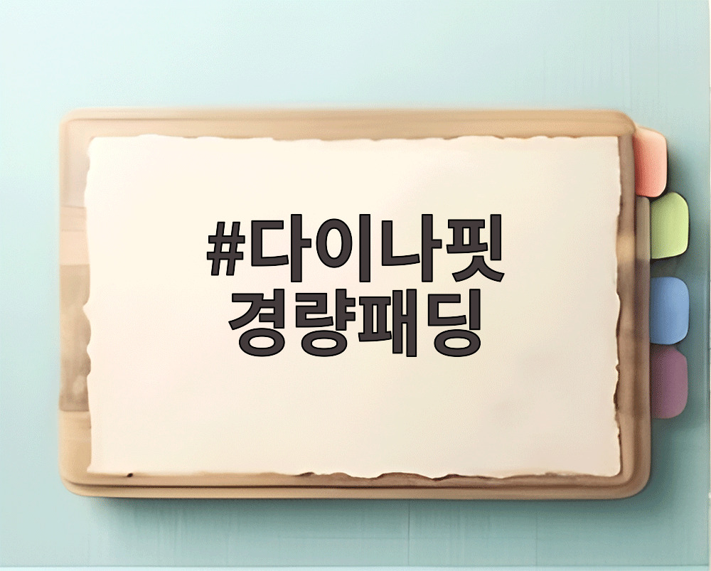 다이나핏 경량패딩