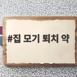 집 모기 퇴치 약
