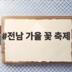 전남 가을 꽃 축제