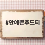 안예쁜후드티