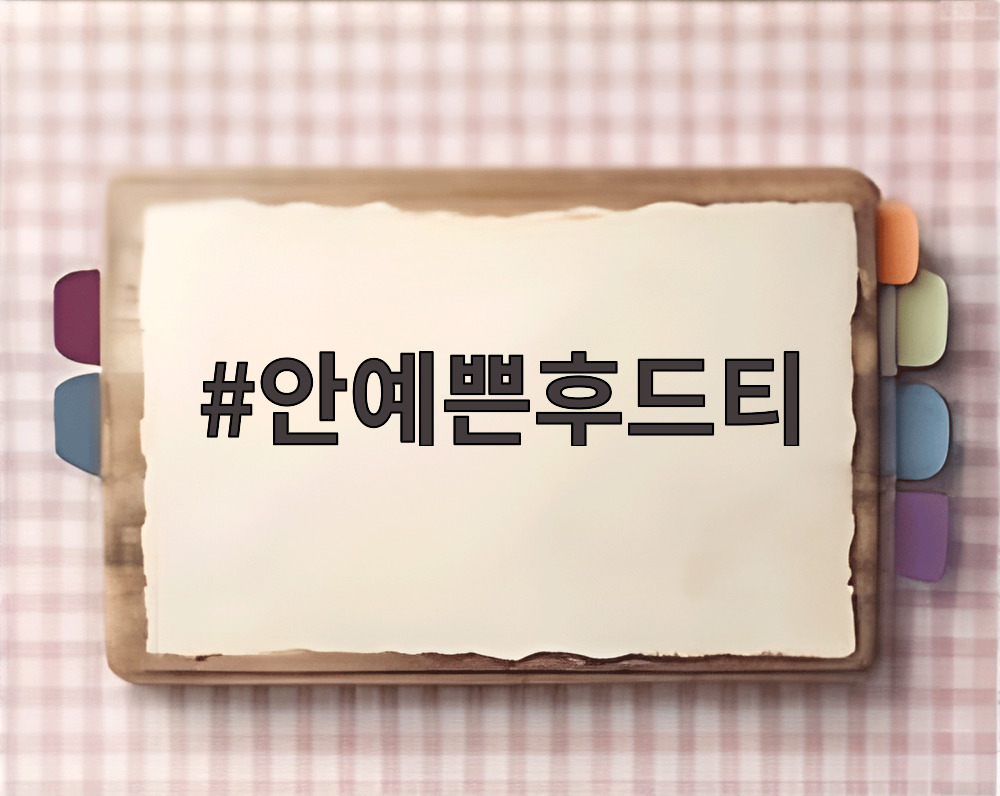 안예쁜후드티