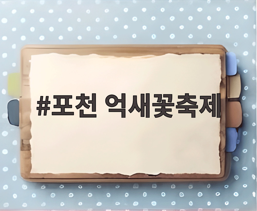 포천 억새꽃축제