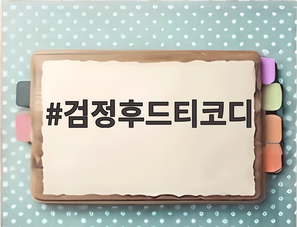 검정후드티코디