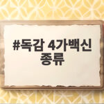 독감 4가백신 종류와 3가 차이 가격 접종 시기 한눈에 확인하기 독감 4가백신 종류