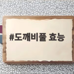도깨비풀 효능 산과 들에서 만나는 귀한 잡초의 놀라운 쓰임 도깨비풀 효능