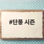 단풍 시즌