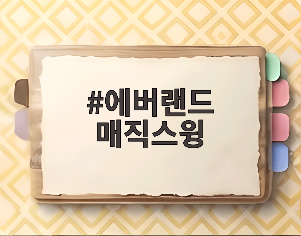 에버랜드 매직스윙