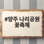 양주 나리공원 꽃축제