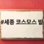 세종 코스모스 밭 만개 시기와 주차 정보 그리고 인생샷 명소 세종 코스모스 밭