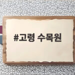고령 수목원 가을밤 빛의숲 무료 입장 시간 확인하고 떠나요 고령 수목원