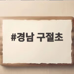 경남 구절초