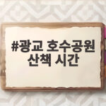 광교 호수공원 산책 시간 이렇게 맞추면 가을이 달라 보입니다 광교 호수공원 산책 시간