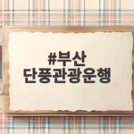 부산 단풍관광운행