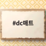 dc매트 하나로 가을 캠핑밤을 따뜻하게 보내는 법 dc매트