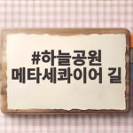 하늘공원 메타세콰이어 길
