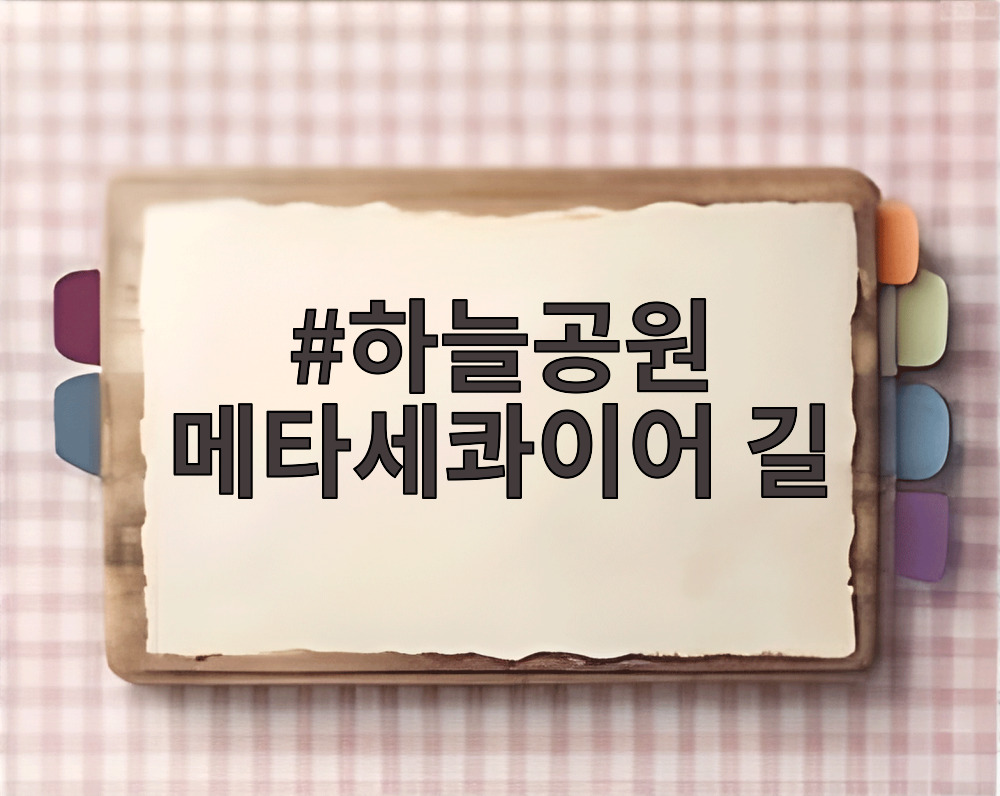 하늘공원 메타세콰이어 길