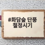 화담숲 단풍 절정시기 2026년 가장 좋은 날짜는 언제일까 화담숲 단풍 절정시기