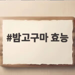 밤고구마 효능 제철 간식으로 건강을 챙기는 방법 밤고구마 효능