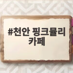 천안 핑크뮬리 카페 10월 만개한 가을 꽃구경 명소 둘러보기 천안 핑크뮬리 카페