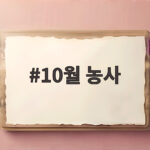 10월 농사 준비 이것만 챙기면 가을밭이 풍성해집니다 10월 농사