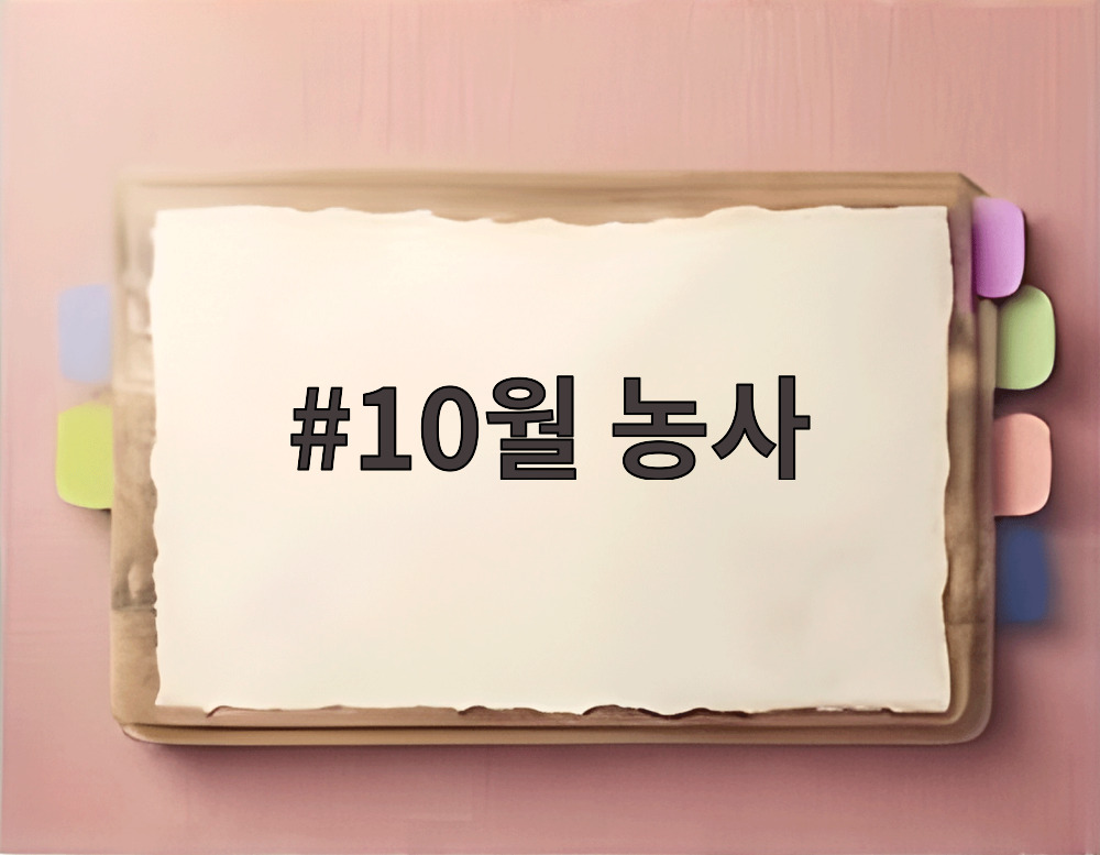 10월 농사