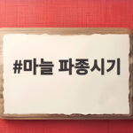 마늘 파종시기 언제가 좋을까 한지형 난지형 차이와 심는 방법 마늘 파종시기