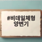 비데일체형 양변기 고민이라면 청소와 AS까지 한번에 확인해 보세요 비데일체형 양변기
