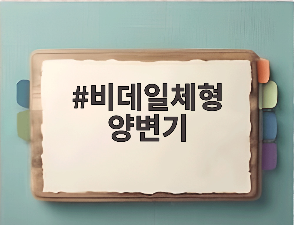 비데일체형 양변기