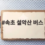 속초 설악산 버스