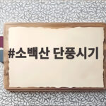 소백산 단풍시기