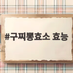 구찌뽕효소 효능 제대로 알고 먹는법과 주의할 점 구찌뽕효소 효능
