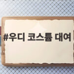 우디 코스튬 대여