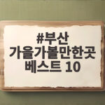 부산 가을가볼만한곳 베스트 10