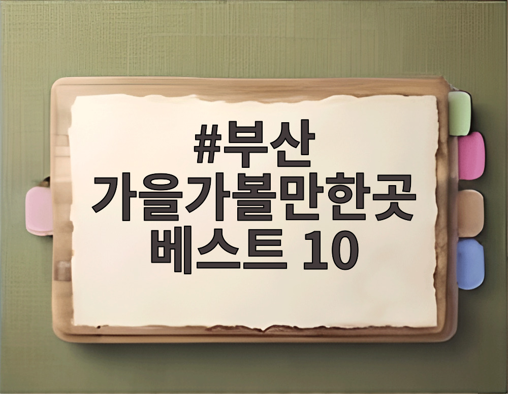 부산 가을가볼만한곳 베스트 10