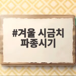 겨울 시금치 파종시기 이렇게 정하면 실패 없어요 겨울 시금치 파종시기