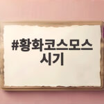 황화코스모스 시기