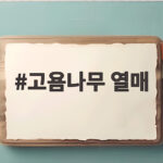 고욤나무 열매 작은 감처럼 달린 가을 산속 보물 이야기 고욤나무 열매