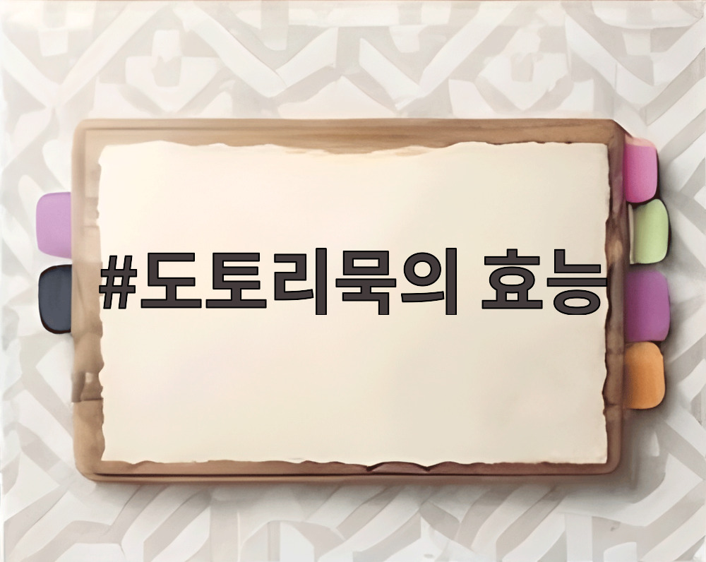 도토리묵의 효능