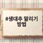생대추 말리기 방법 이것만 알면 실패 없이 곰팡이 걱정 없이 오래 보관합니다 생대추 말리기 방법
