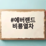 에버랜드 비룡열차